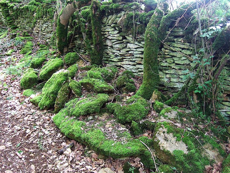 2010-05- (95).JPG
